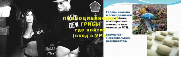 сатива Абаза