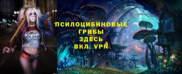 ПСИЛОЦИБИНОВЫЕ ГРИБЫ Алзамай