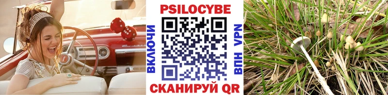 blacksprut зеркало Нижние Серги Псилоцибиновые грибы ЛСД